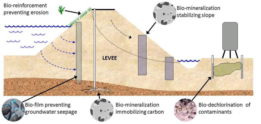 Overview of Bio-Treatment Soil Improvement Dystems (Jason DeJong, personal communication, 2012)