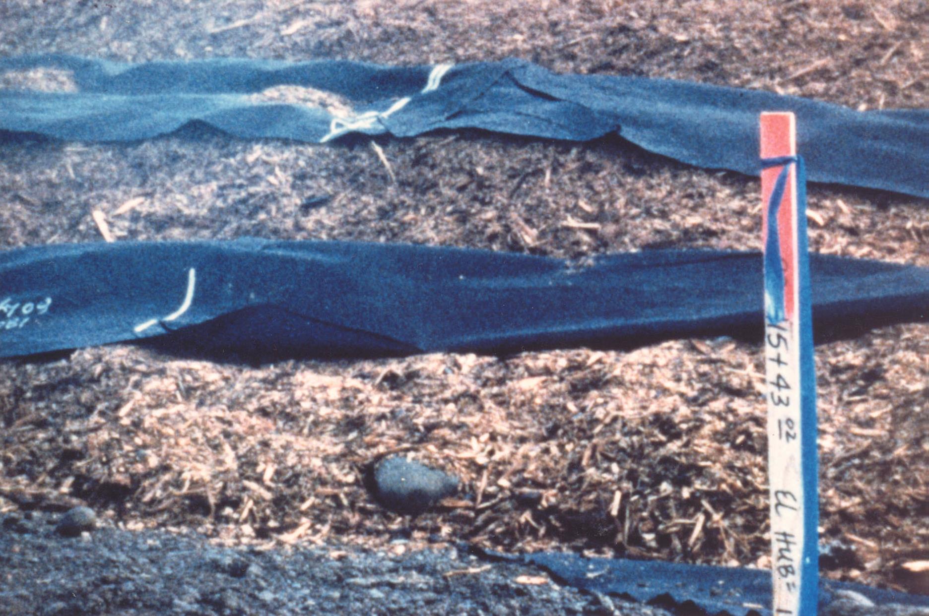 Construction of wood fiber embankment. Courtesy of FHWA.