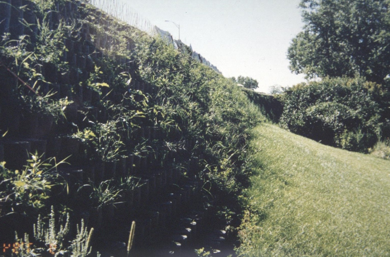 Vegetated geocell facing, Minnesota DOT Hwy 62/I35W project. Courtesy of Blake Nelson, Minnesota DOT.